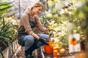 Jak wdrożyć skuteczną Ochronę Środowiska dla Firm Gastronomicznych i Zyskać Zieloną Przewagę
